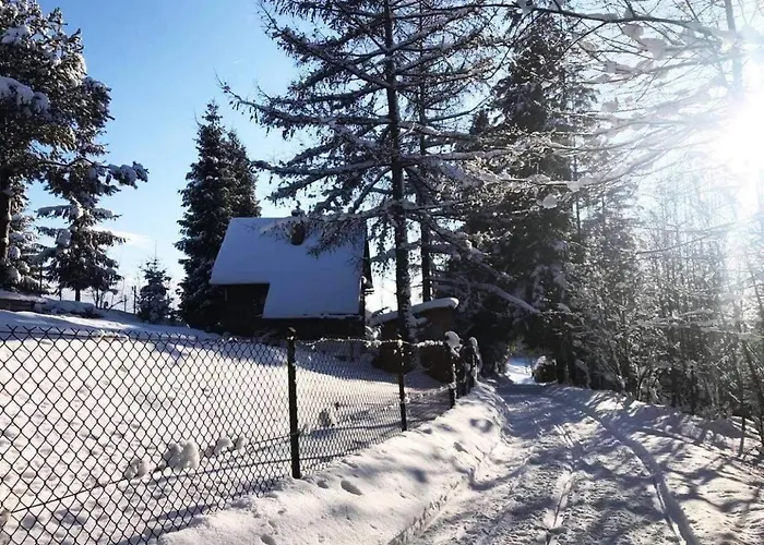 Domek Pod Modrzewiem