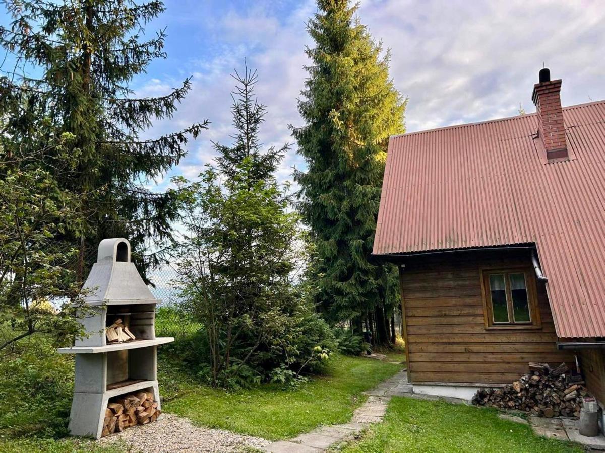 Pod Modrzewiem Holiday home *